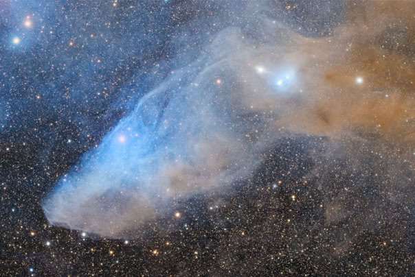The Blue Horsehead Nebula