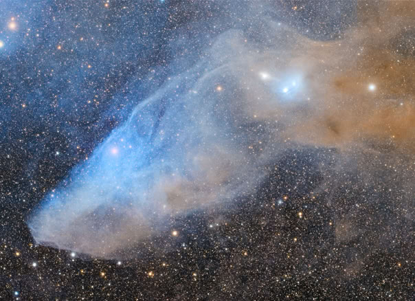 The Blue Horsehead Nebula